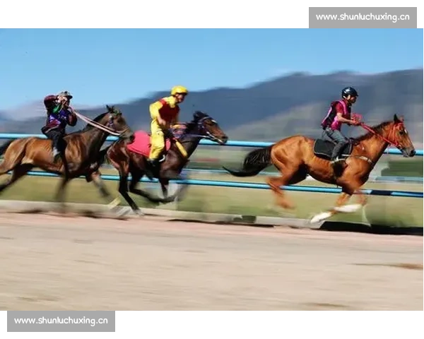 激烈赛马竞速赛场精彩瞬间汇集，速度与激情的完美对决
